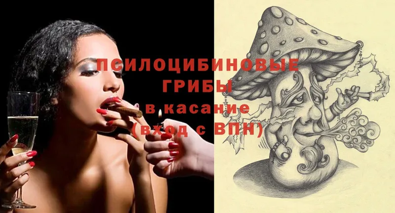 shop состав  Аксай  Галлюциногенные грибы Magic Shrooms 